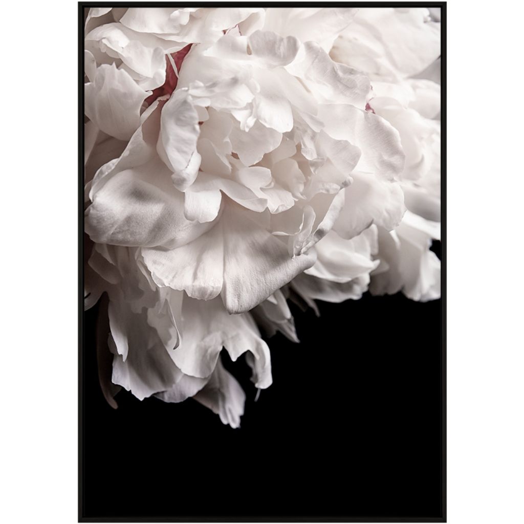 Mystic Bloom Artwork