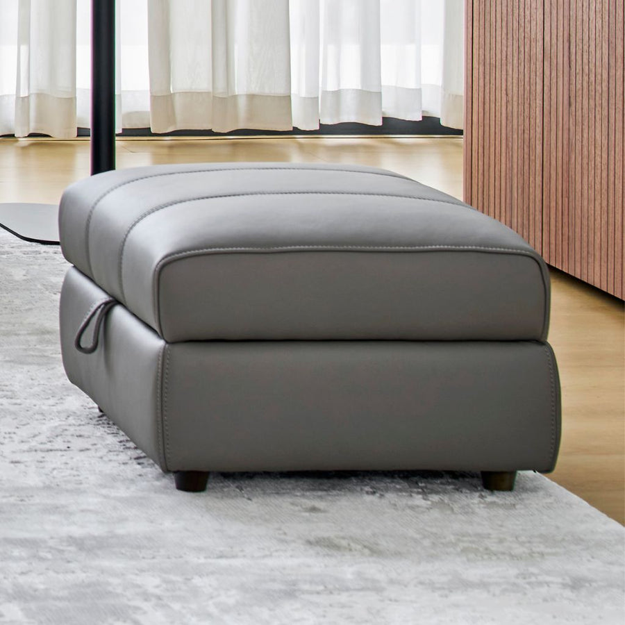 Bailey Storage Footstool shown in RY-042E leather