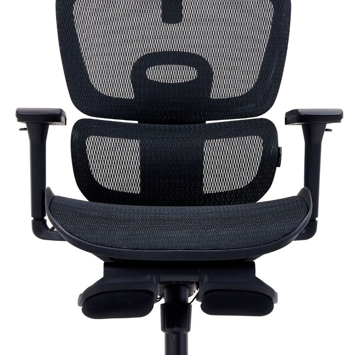 ErgoSupport Elite Office Chair