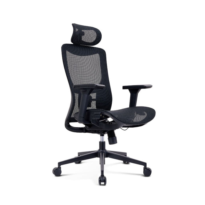 ErgoSupport Pro Office Chair