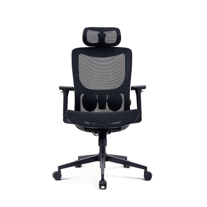 ErgoSupport Pro Office Chair