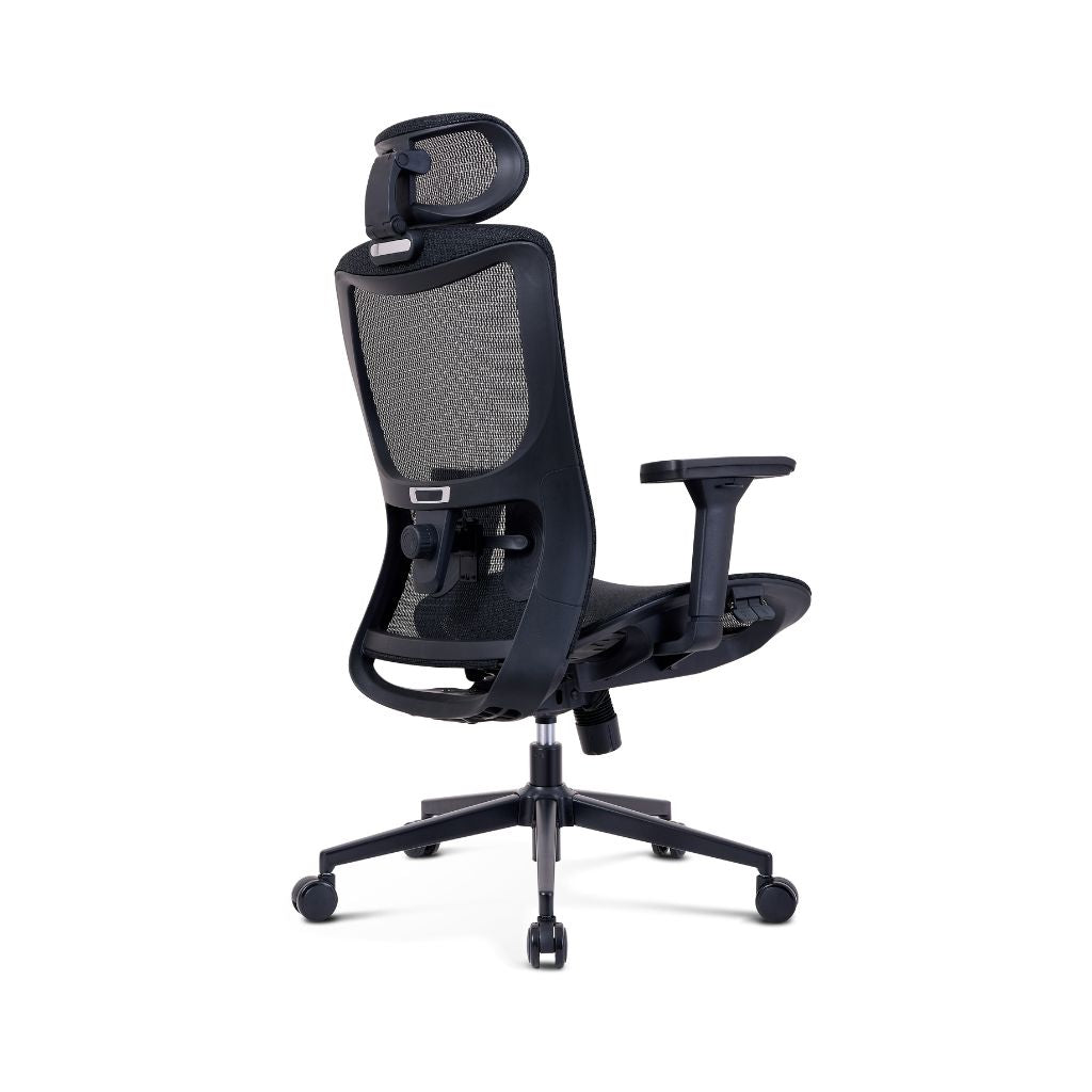 ErgoSupport Pro Office Chair