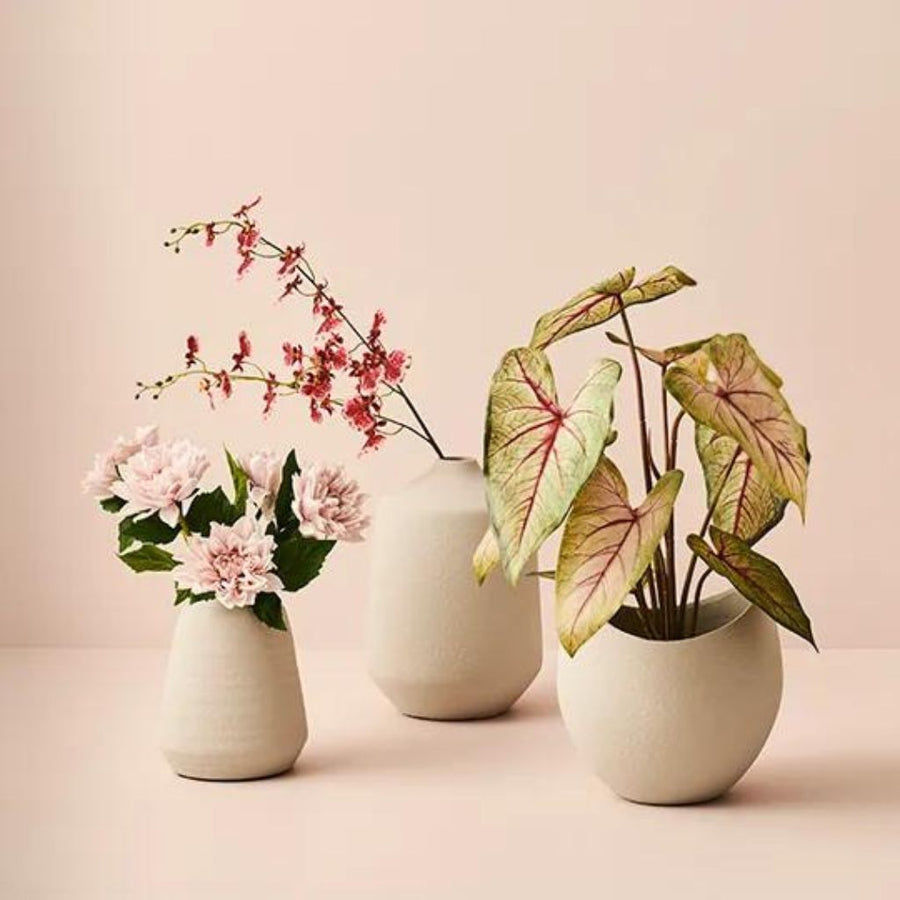 Fasoni Pot Grey Gainsville Furniture