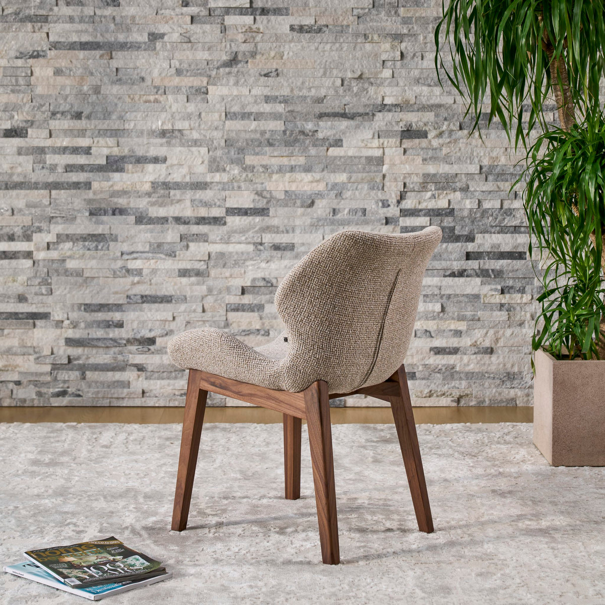 Viva Walnut Dining Chair back angle showing the curved backrest
